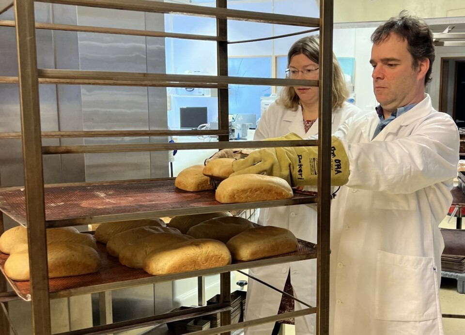 'The bread we have developed resembles a typical loaf, but it contains a significant amount of beta-glucan,” senior scientist Simon Ballance says.