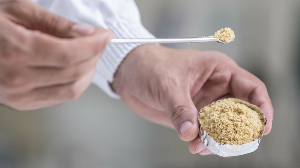 Consumers are not sceptical about algae in salmon feed. Here is an algae-based ingredient with a high content of the omega-3 fatty acid DHA. Consumers are not sceptical about algae in salmon feed. Here is an algae-based ingredient with a high content of the omega-3 fatty acid DHA.