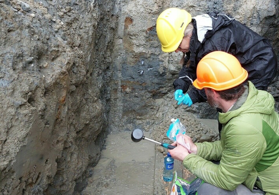 Eike Müller and Inger Greve Alsos take samples to search for ancient DNA.