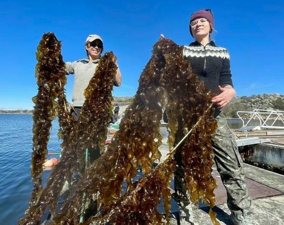 Giorgia Carnovale (right) works for the nonprofit organisation Marea. She wants to bring life back to the Oslofjord.