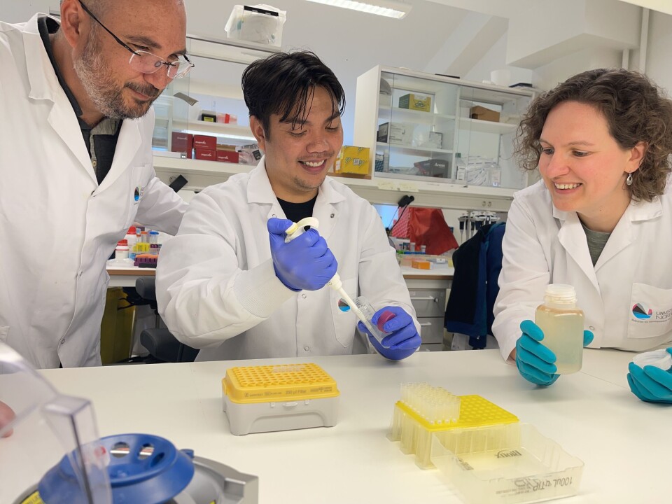 Researchers have developed their own molecular markers to study the genetic differences between the Calanus species. From left: Galice Hoarau, Apollo Lizano, and Irina Smolina. Three researchers in a lab with equipment.