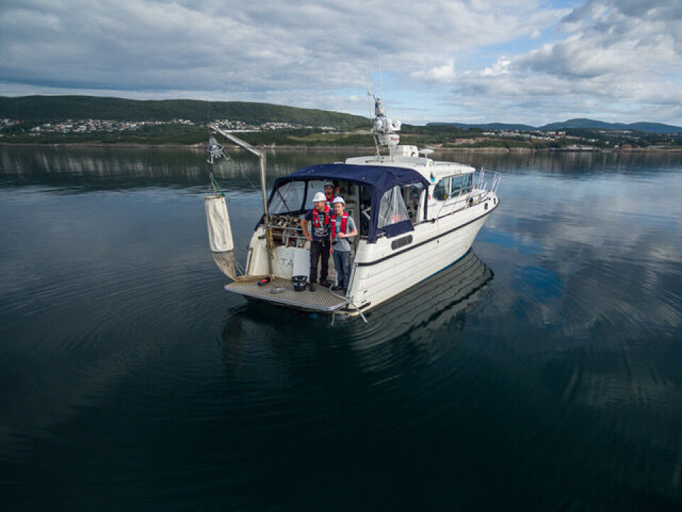 Researchers at Nord University collected plankton samples in the Skjerstad Fjord throughout an entire year in pursuit of hybrids. Researchers on a boat.