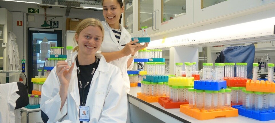 How E. coli defends itself against antibiotics