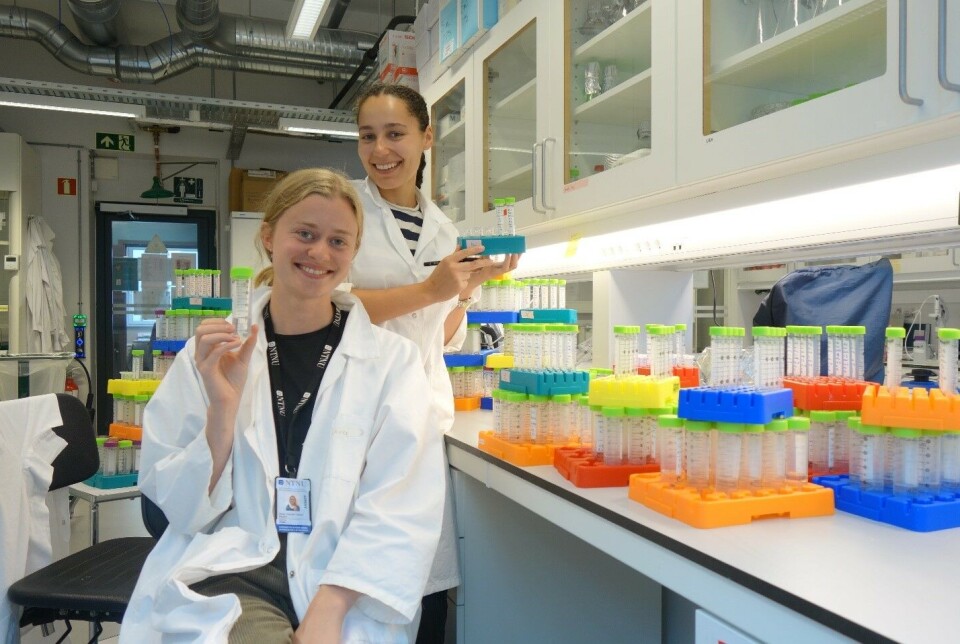 Olaug Elisabeth Torheim Bergum and her colleague Amanda Holstad Singleton have studied how E. coli bacteria react when exposed to the antibiotic Ciprofloxacin.