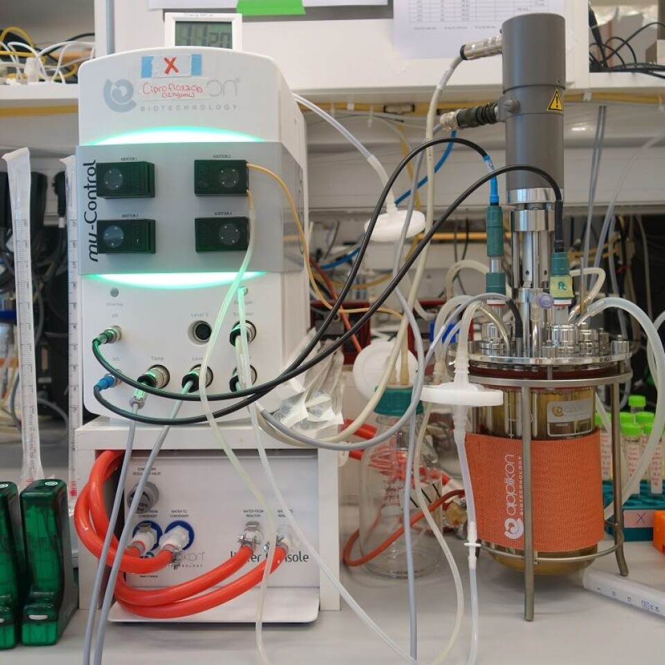 The bacteria were grown in a bioreactor. In such a reactor, the researchers have complete control over the growth conditions. This allows them to obtain results that are easier to reproduce.