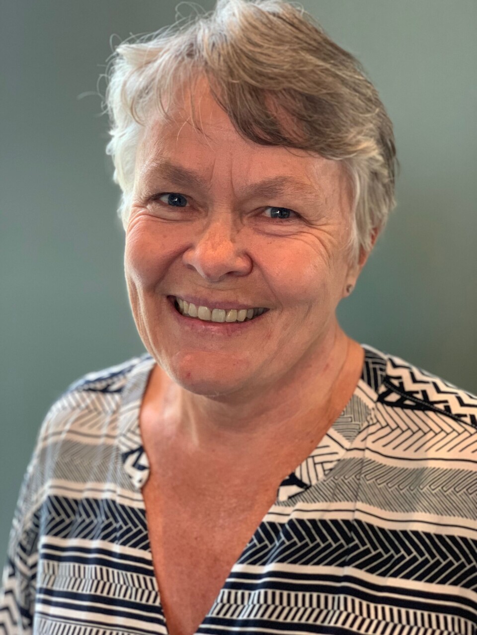 Nina Køpke Vøllestad is a professor at the University of Oslo.