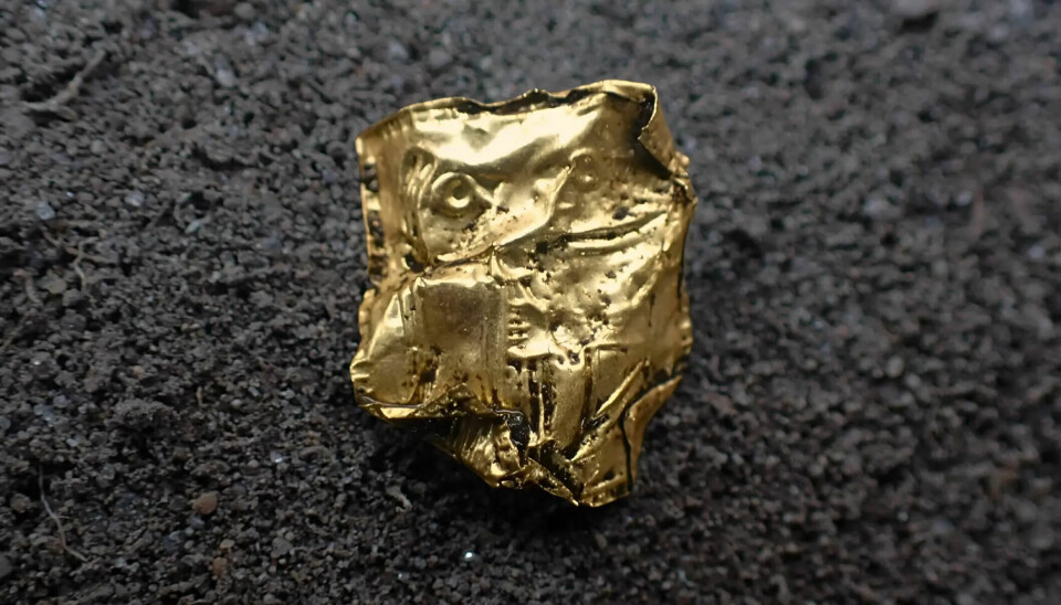 It was not a chocolate wrapper; it was a tiny gold piece called a gold foil figure, belonging to someone in Norway’s elite 1,500 years ago.