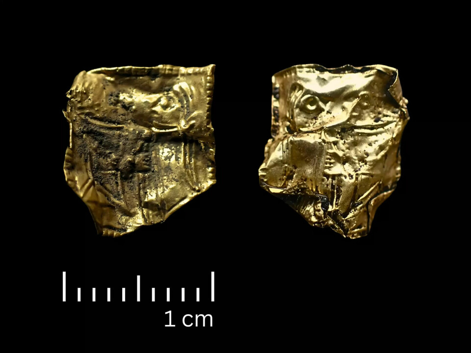 The front and back og the gold foil figure, accompanied by a 1-cm scale.
