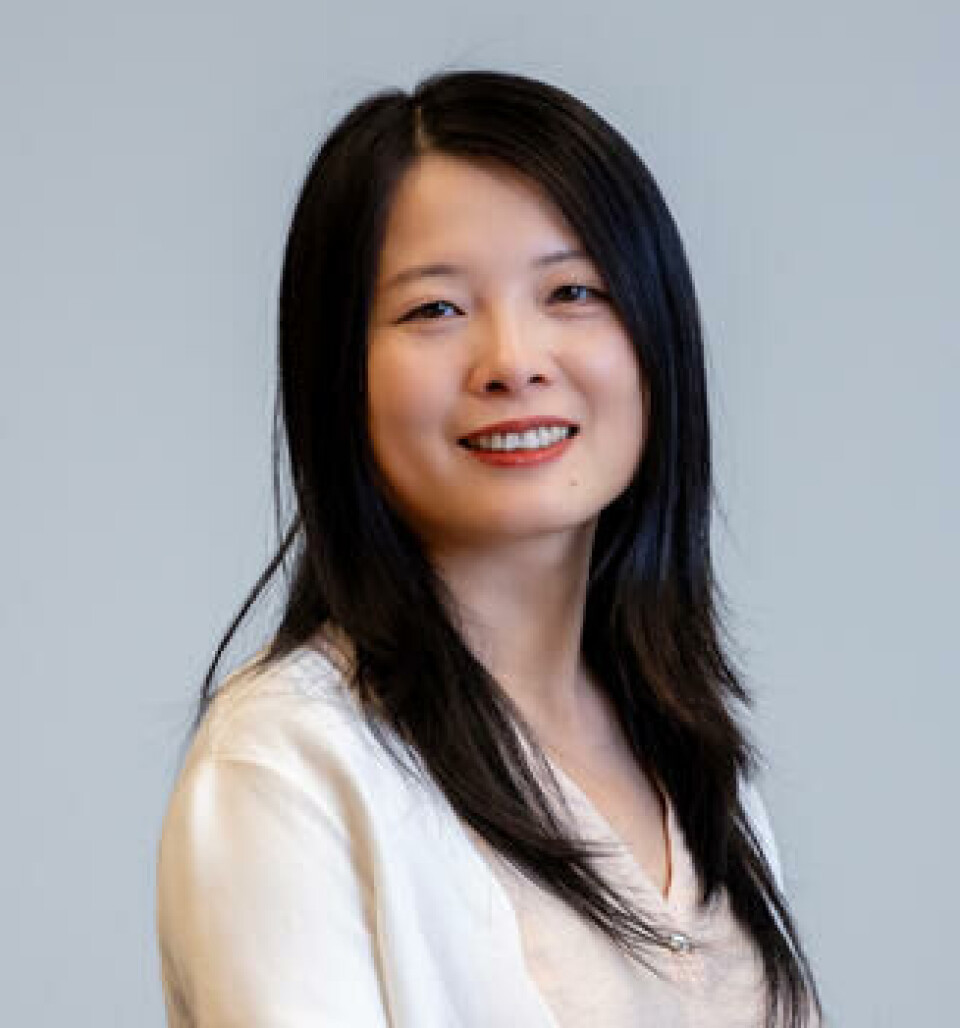 Yan Li's work will make it possible to predict the occurrence of rogue waves.