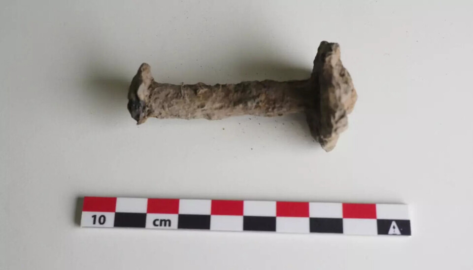 The large rivets, securing thick planks, leave archaeologists entirely confident that a Viking ship was once buried at Jarlsberg Manor. The large rivets, securing thick planks, leave archaeologists entirely confident that a Viking ship was once buried at Jarlsberg Manor.