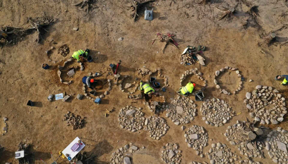 Archaeologists at work in a large burial field in southeastern Norway, where 40 circular stone formations with cremated bone remains, mostly from children, were found placed in the middle.