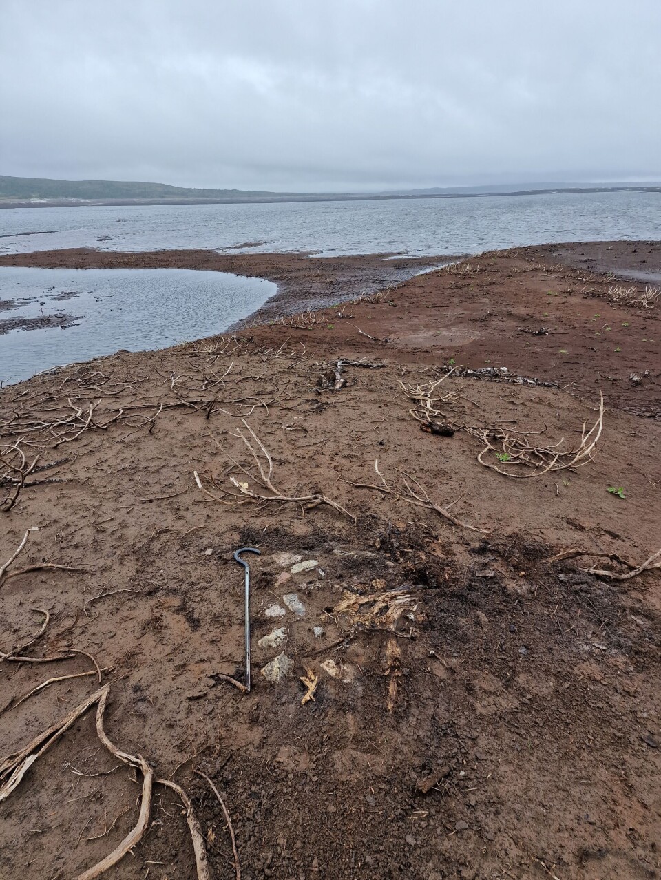 With a soil auger, archaeologists can locate stones beneath the turf. I front kan man se steiner som er satt sammen i en halvsirkel. Området med leire strekker seg utover i en arm, og i bakgrunn kan man se innsjøen som ikke har blitt tappet.