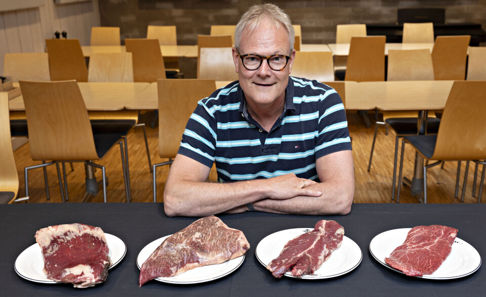 Meat with more flavour than steak – once only used for minced meat. Rune Rødberg showcases (from left) flank steak, tri-tip, hangar steak, and flat iron. Bildet viser forskeren med fire kjøttstykker foran seg.