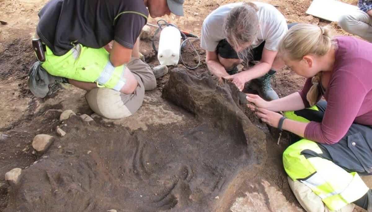 Archaeologists' most exciting finds: Unearthed some of the oldest human ...