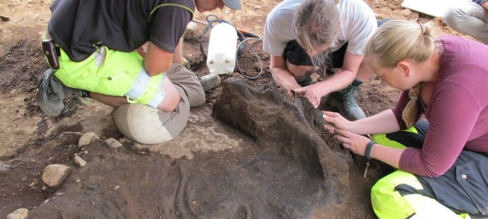 Unearthed some of the oldest human bones ever found in Norway