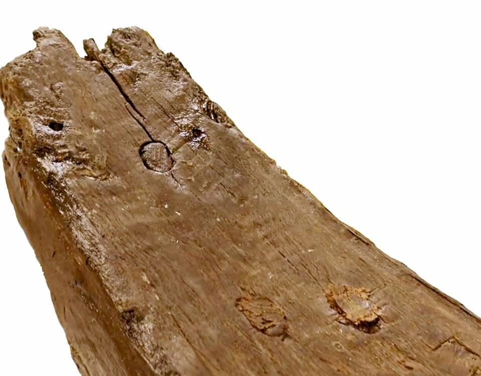 This ship part is now dated to just after Harald Hardrada – Norway's last Viking king – is said to have founded the city of Oslo. Note the finely inlaid wooden plugs.