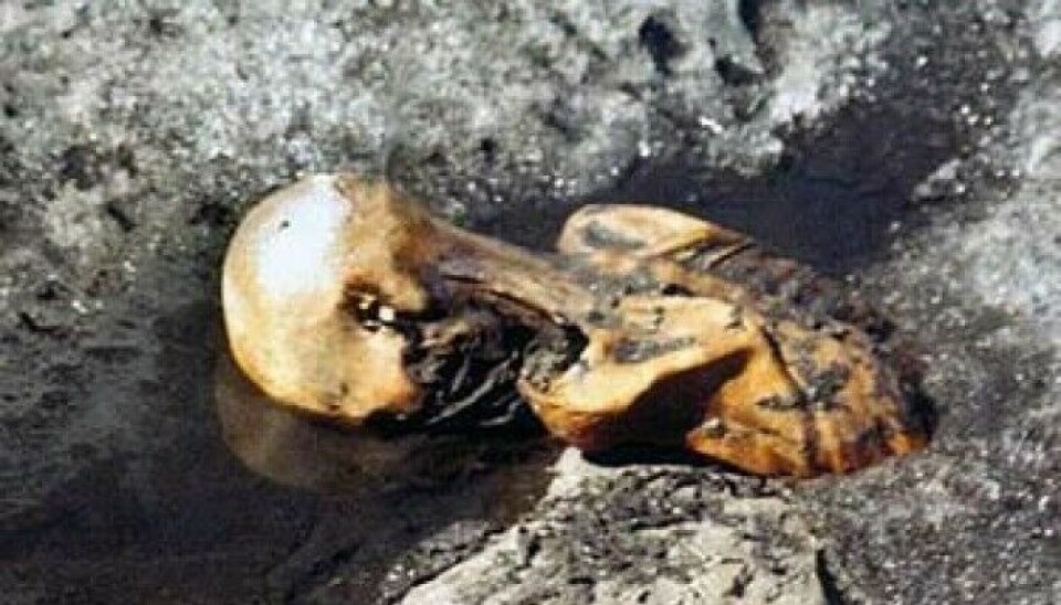 Ötzi was found in the Alps between Italy and Austria. Archaeologist Gaute Reitan hopes for a similar discovery in Norwegian snowdrifts.