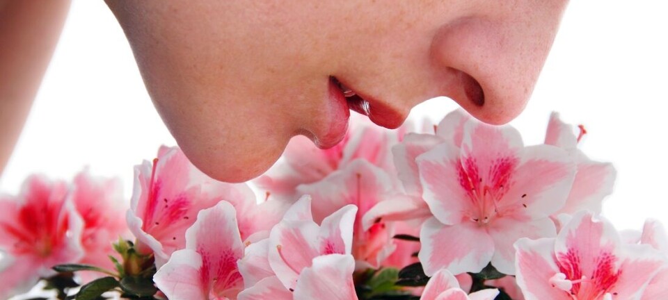 Artificial intelligence: Can we recreate the smell of ancient Rome from 2,000 years ago?