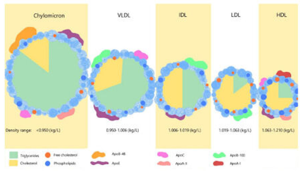 Different types of cholesterol.