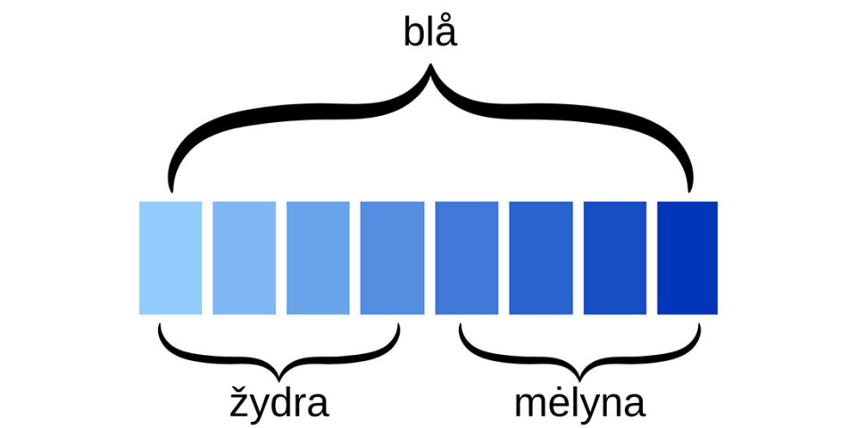 The Lithuanian language has two distinct words for blue: ‘žydra’ (light blue) and ‘mėlyna’ (dark blue), while Norwegian only has one word: ‘blå.’ This affects how quickly people perceive shades of blue.