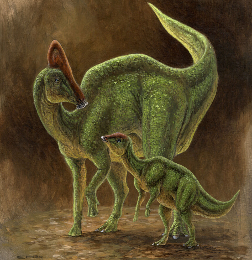An illustration of what the Natural History Museum's two new dinosaurs, Zelda and Zara, might have looked.