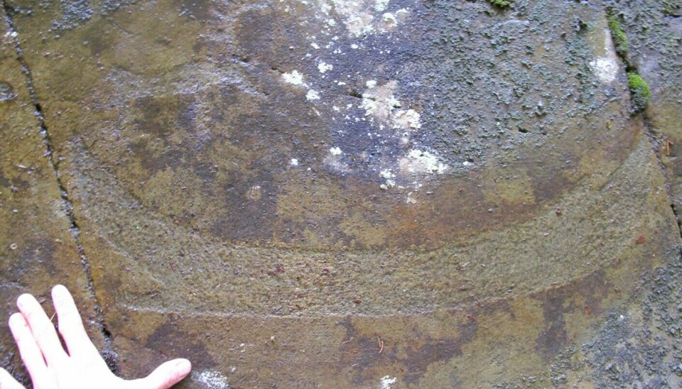 Can you see the reindeer buck in the rock? Trained archaeologist eyes are invaluable when searching for traces of the past. This photo is from the moment of discovery on May 11, 2018.