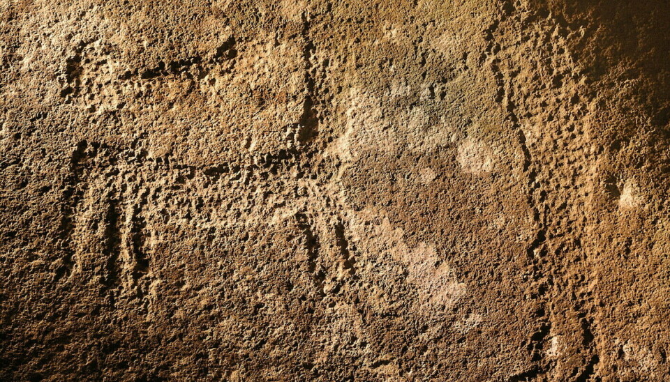 A horse among the rock carvings.