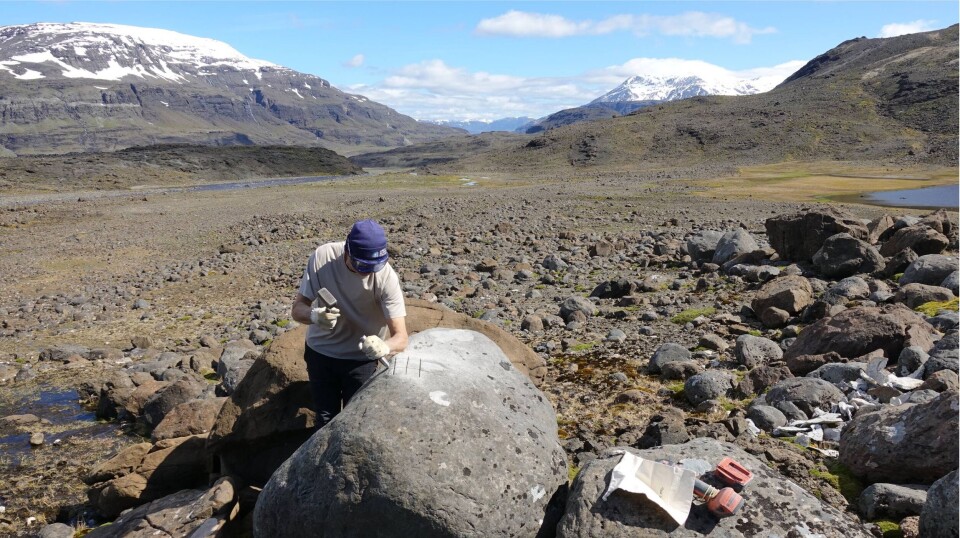 Fieldwork on Kerguelen in 2019.