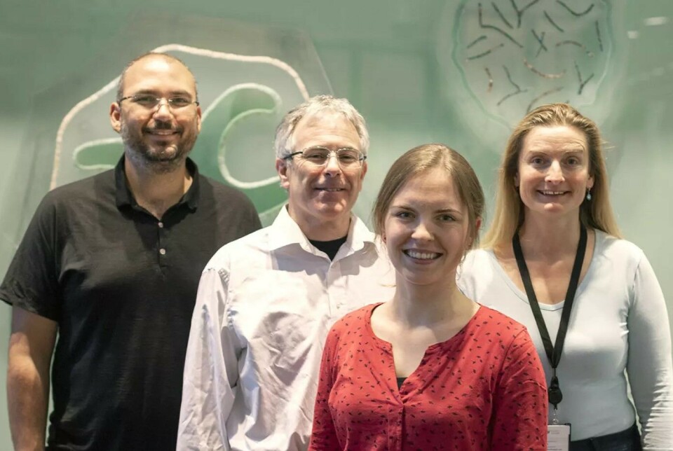 The shark team at Nord University: Professor Galice Hoarau, Professor Leslie Robert Noble, researcher Isabel Wagner and senior advicer Martina Kopp.