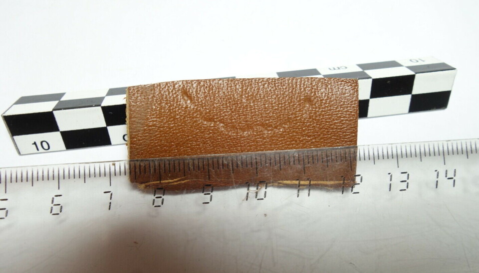 With the help of an assistant, it was possible to test if the marks actually came from teeth.