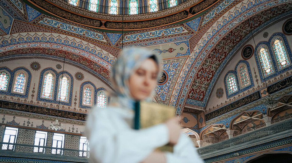 The women's networks studied in the research look to Muslim countries for positive experiences.
