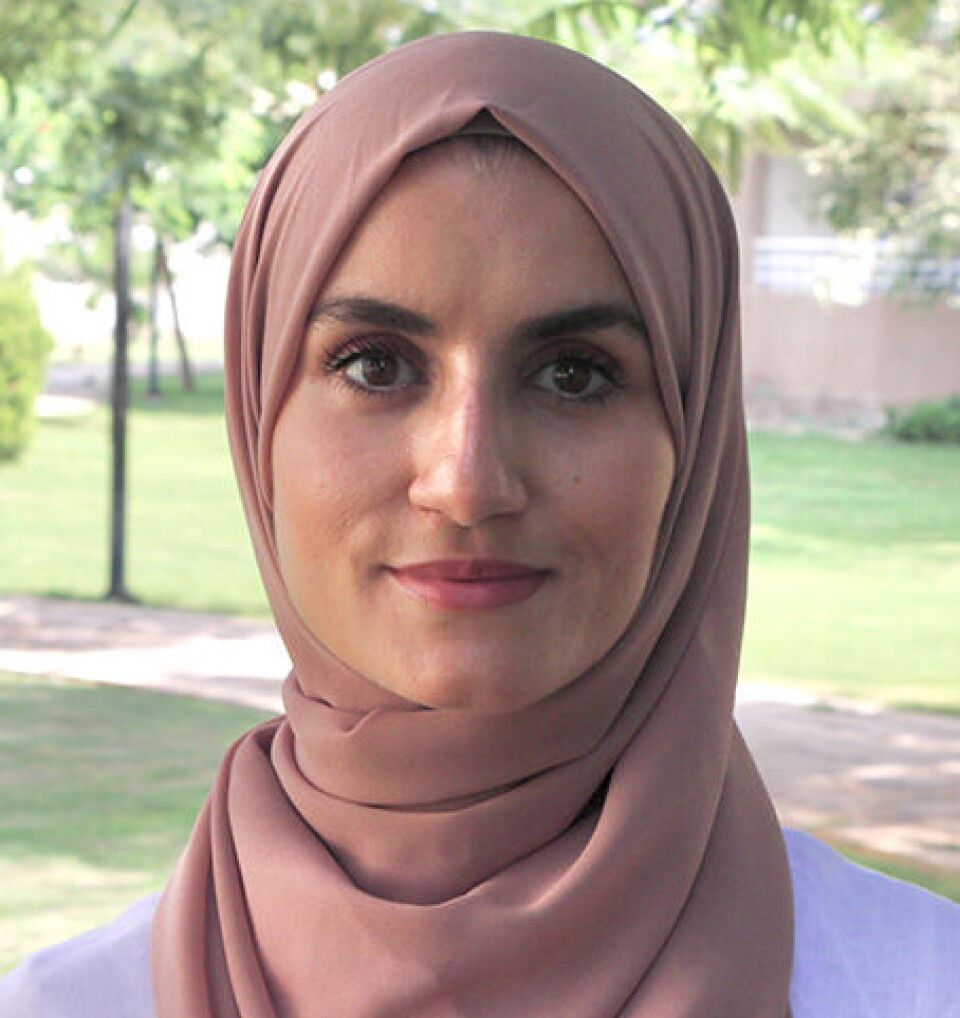 In Egypt, Qatar, Turkey, and Saudi Arabia, Laila Makboul found women's organisations that collaborate across borders.