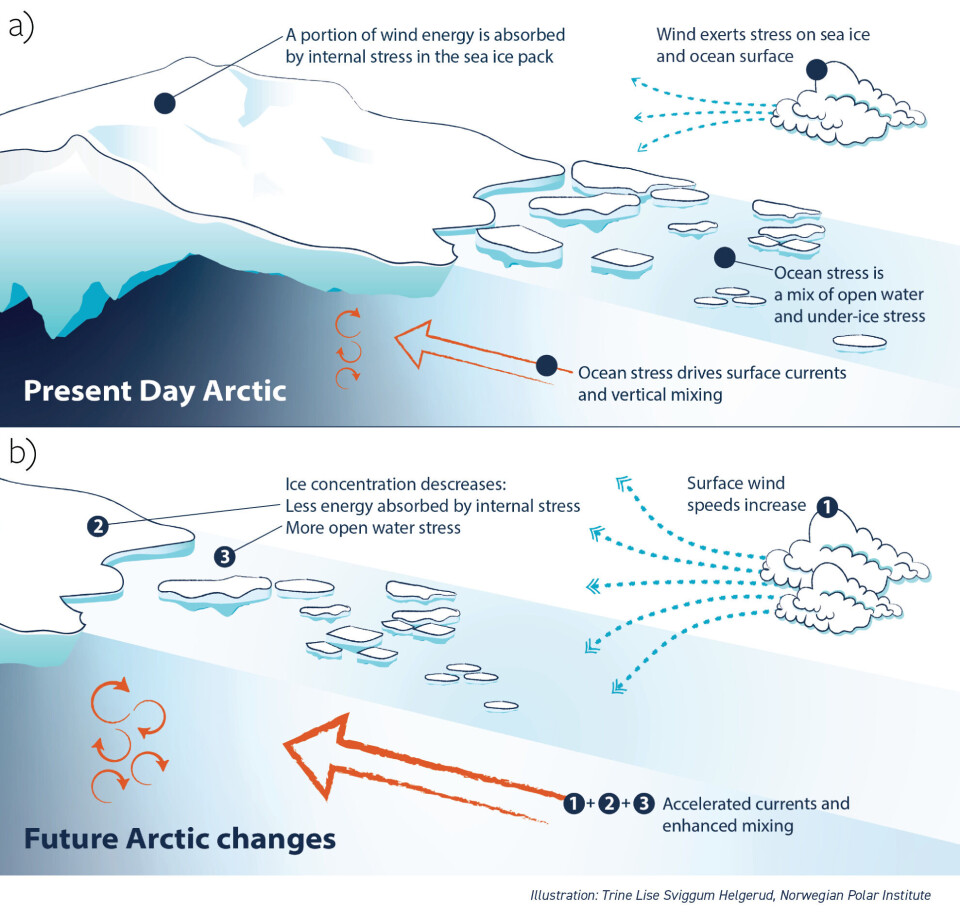 The figure explains the findings of the new study published in Nature Communications.