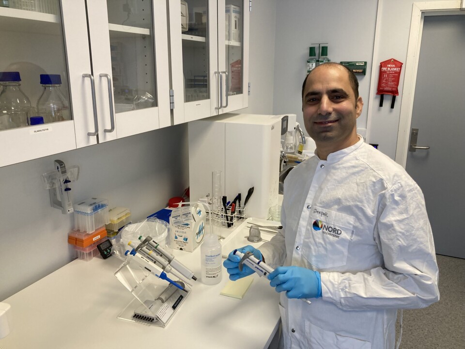 Deepak Pandey earned his PhD at Nord University in 2023. Today, he is a researcher at Møreforskning.