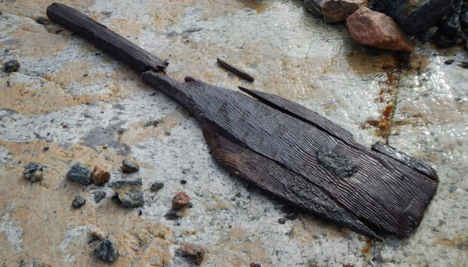 This wooden spade was discovered after the snow melted at Grovåskardet in Fjord municipality. It dates back to 180-350 CE. This wooden spade was discovered after the snow melted at Grovåskardet in Fjord municipality. It dates back to 180-350 CE.