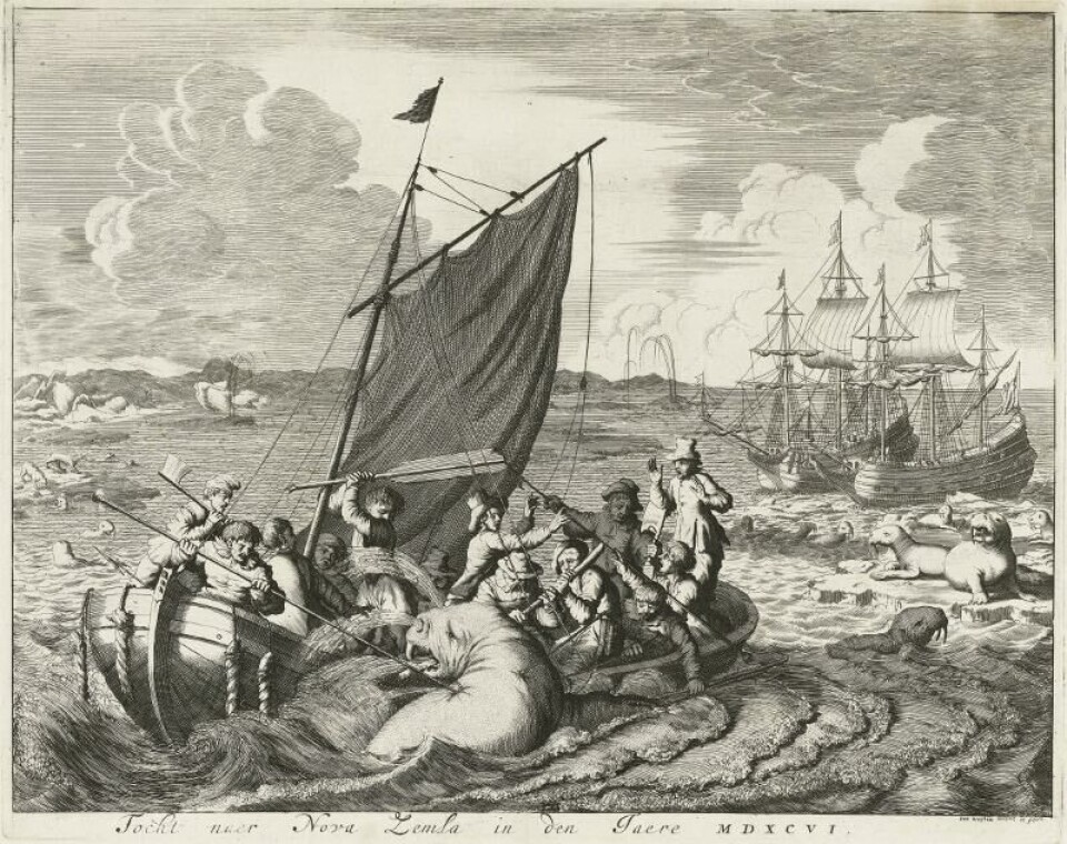 Print by Jan Luyken showing walrus hunting during Willem Barentsz' expedition to Novaya Zemlya in 1596.