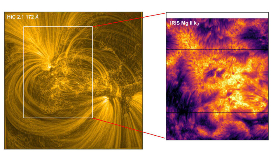 To the left, we see a small-scale, patchy structure on the Sun that solar physicists call ‘moss’ (taken with NASA's Coronal Imager). The image on the right (taken with the space telescope Iris) shows a detailed scenery of the cooler roots of the moss.