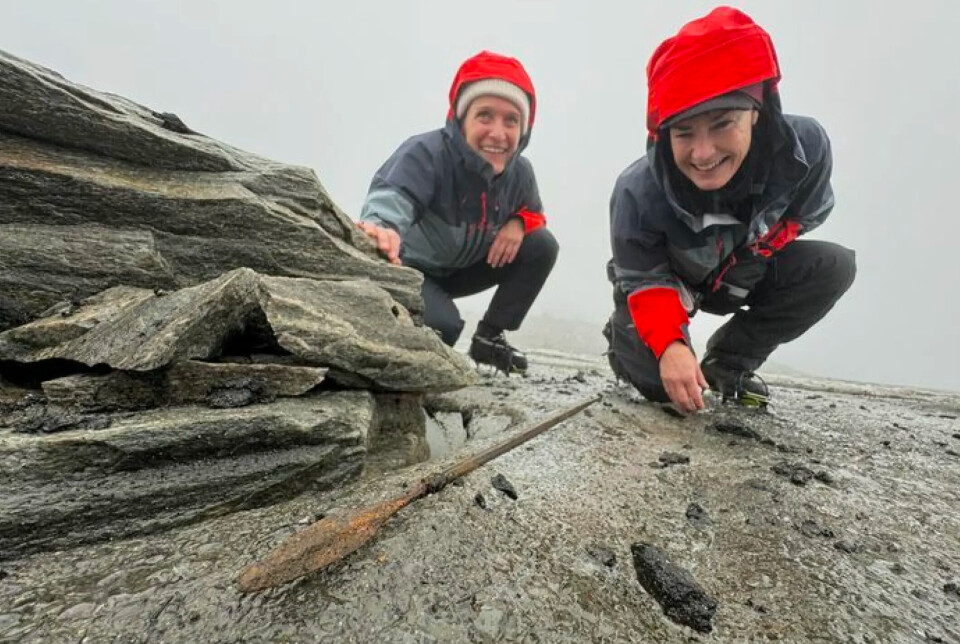 There was great excitement when glacial archaeologists recently uncovered a 1,300-year-old arrow on the Lendbreen ice patch. Two archeologists crouch by an arrow in the mountains.