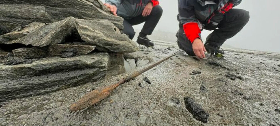 A 1,300-year-old arrow and horse dung emerged from a melting Norwegian glacier