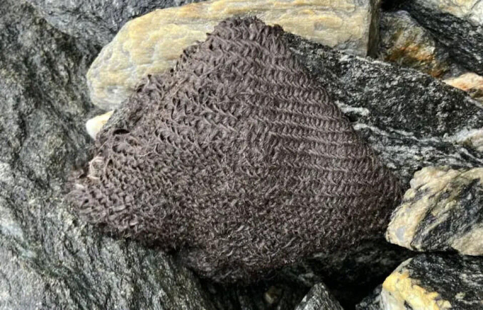 Satellite images had shown the archaeologists that a significant amount of ice had melted, so expectations for discoveries were high even before they set off on their journey. It didn’t take long before the first find – an ancient, well-preserved piece of textile. A wet textile fragment lying on a rock.