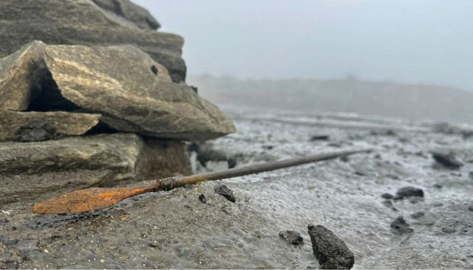 A beautiful, well-preserved, and very old arrow has melted out of the ice. An arrow lying on top of some rocks.