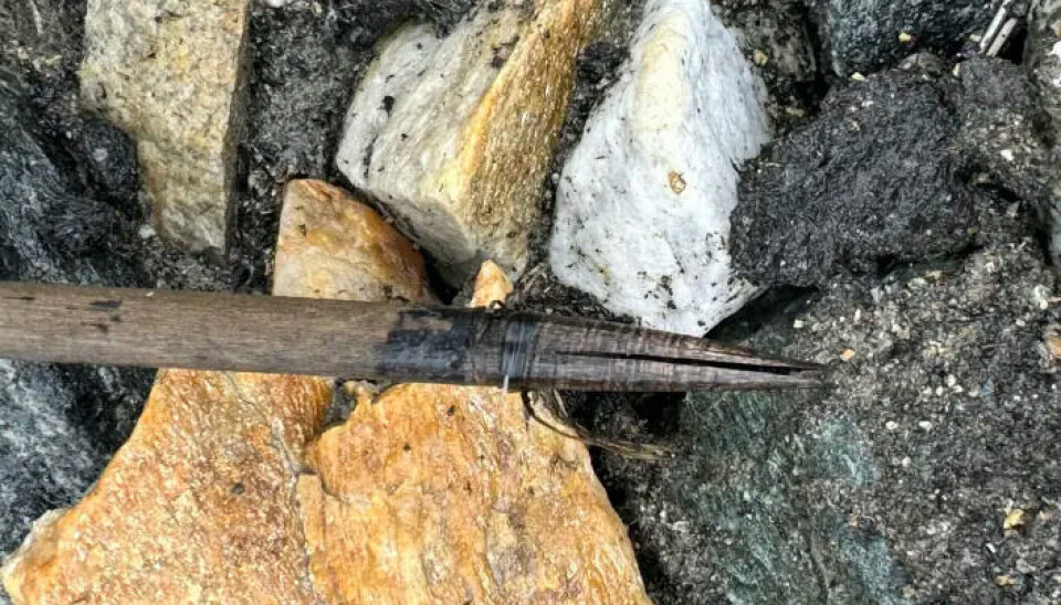 The front of the shaft, where the arrowhead would have been attached. The front of the shaft, where the arrowhead would have been attached.