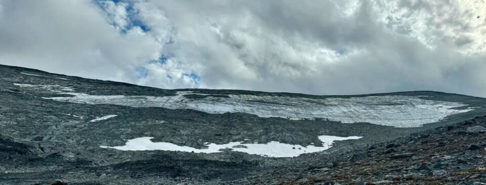 Lendbreen a few days ago, when the glacial archaeologists finally arrived to conduct this year’s investigations.