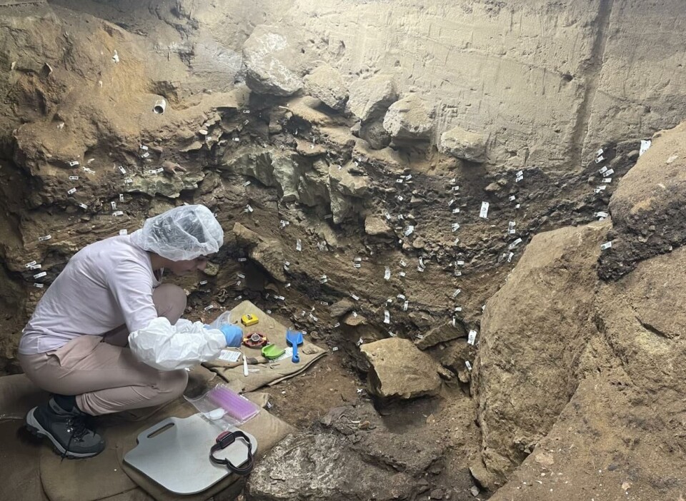 Zahra Haghighi collects samples for palaeoproteomic experiments at the Blombos Cave archaeological site in South Africa. She wears gloves, a hair net, and sleeves to avoid introducing contaminants, such as keratin proteins from hair and skin, to the samples.
