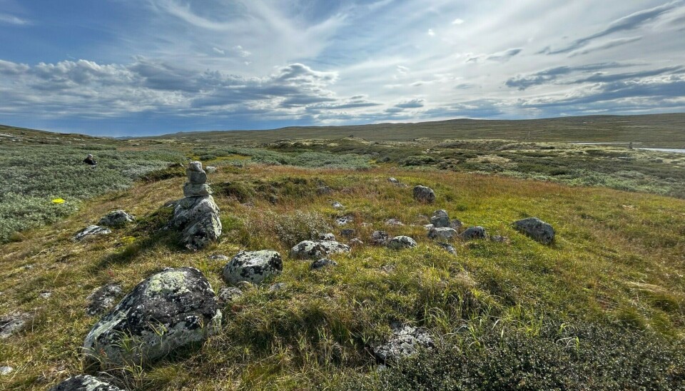A forgotten foundation near a hiking trail turned out to be an old shack, roughly 20 square metres in size. It had once provided travellers with shelter from the elements, a place to eat, relax, and perhaps sleep before continuing their journey across the mountains.