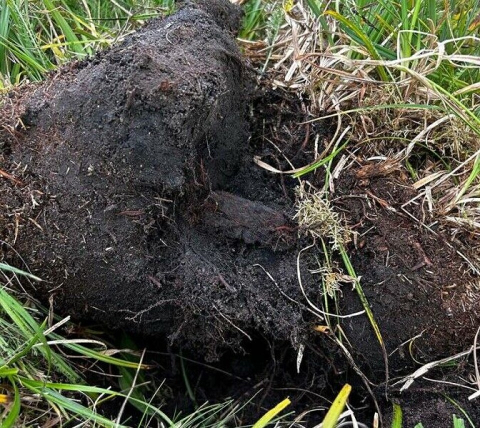 The fire striker was found beneath the turf.