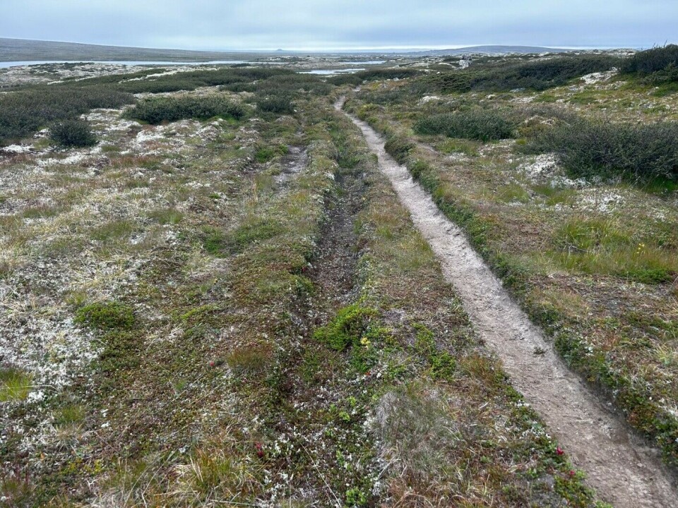 Nordmannsslepa is the name of the major routes across the Hardanger Plateau, which for thousands of years was the most important connection between east and west. The oldest evidence of travel here is almost 10,000 years old.