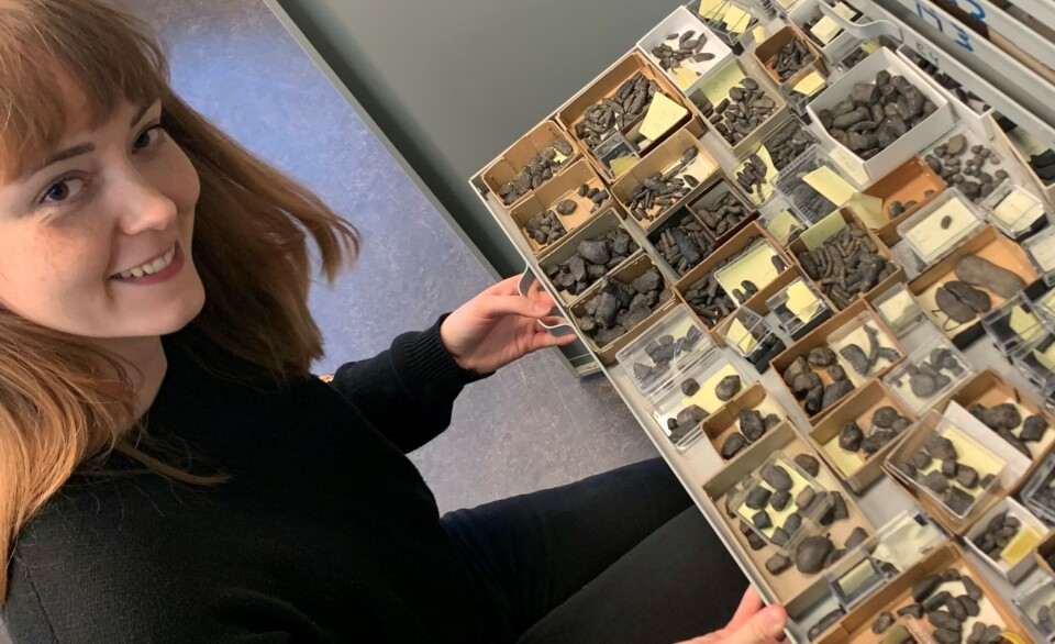 Vanja Simonsen carried out her master's thesis on 250 million-year-old faeces. In this drawer, she has collected the finest specimens. En ung kvinne sitter på huk ved en skuff som er trukket ut av et skap. Skuffen er full av små mørke steiner.