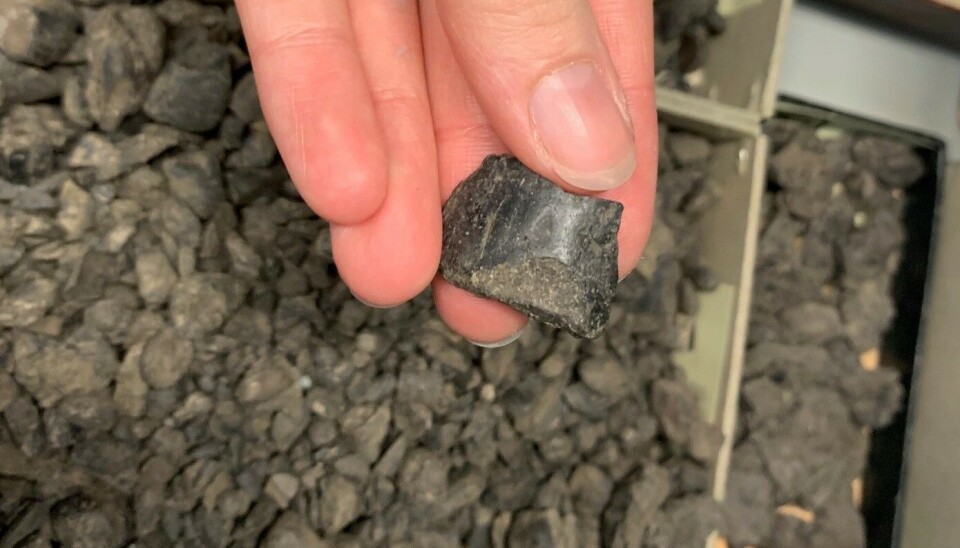 The coprolite collection at the Natural History Museum includes thousands of specimens from Svalbard. Some are just fragments, like the one pictured. Others are whole fossilised droppings. The shape can tell us something about who once pooped. En hånd holder et fragment av stein mellom fingrene. Utsiden av steinen er glatt. I bakgrunnen er esker fulle av små steinfragmenter.