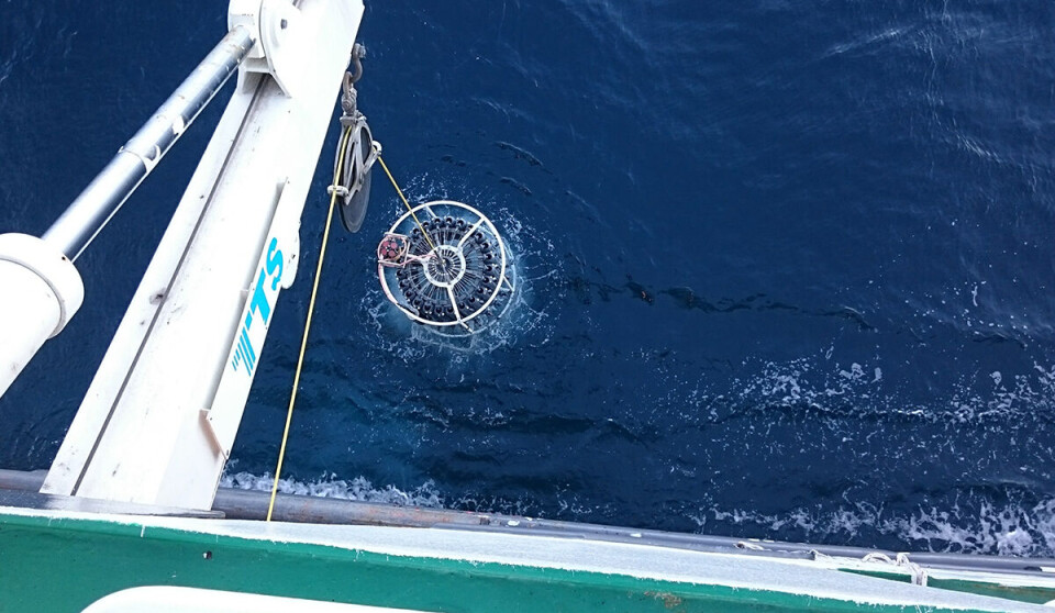 Water samples from the Greenland Sea indicate increasing CO2 uptakes the last decades.